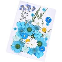 Daimay 35 PCS Flores Secas Naturales Flores prensadas Reales múltiples mezcladas Surtido Colorido para Resina DIY Joyas…